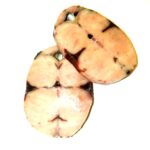 1/2" Billfish Steaks
